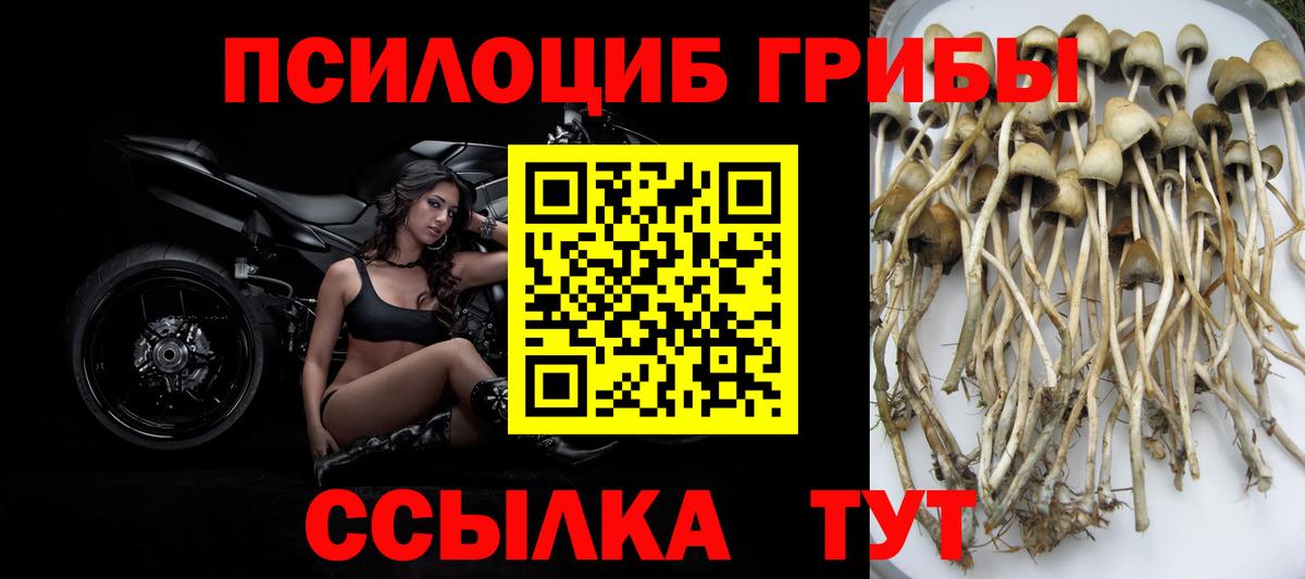 Псилоцибиновые грибы Psilocybe  Вход с VPN  Видное  продажа наркотиков  Галлюциногенные грибы Psilocybine cubensis 
