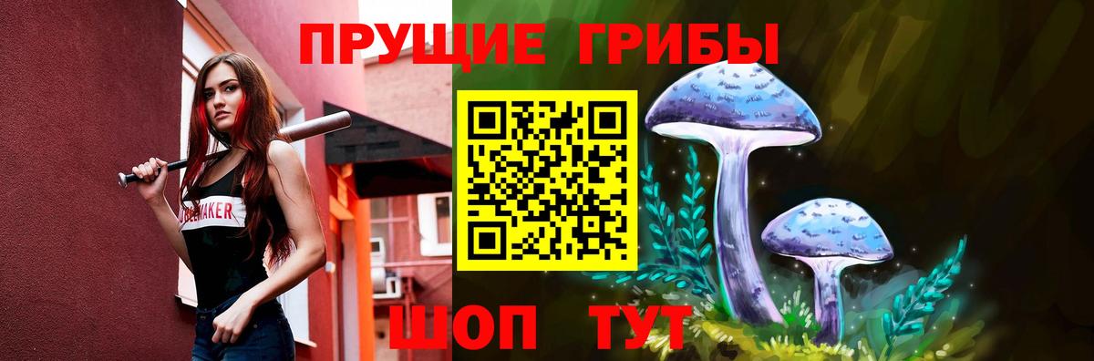 Галлюциногенные грибы Cubensis Видное