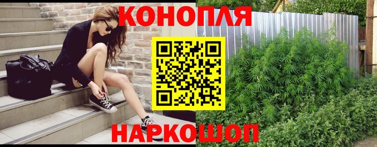 Конопля марихуана Видное